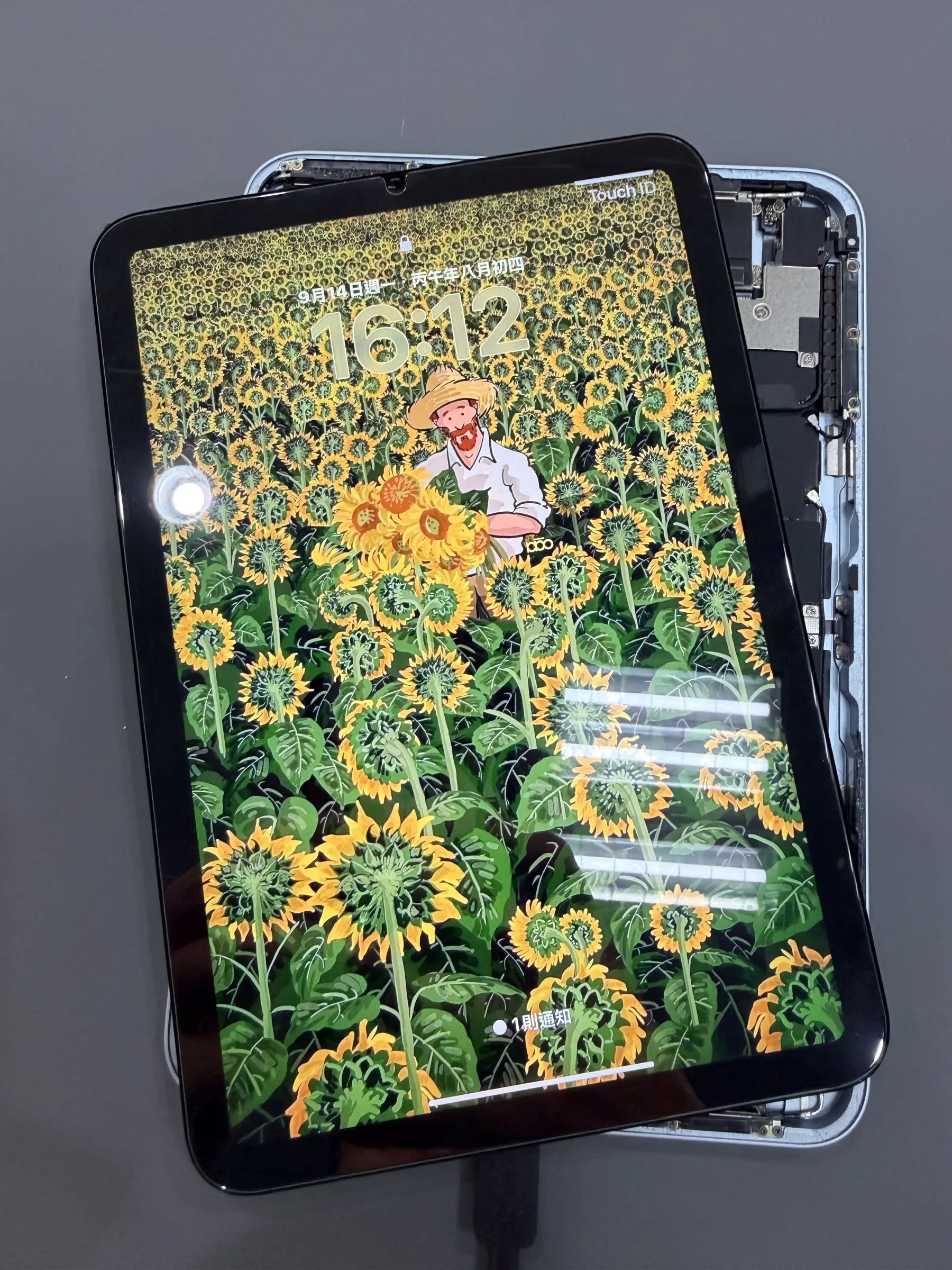 iPad mini 7 排除主機板故障後恢復開機並顯示鎖定畫面