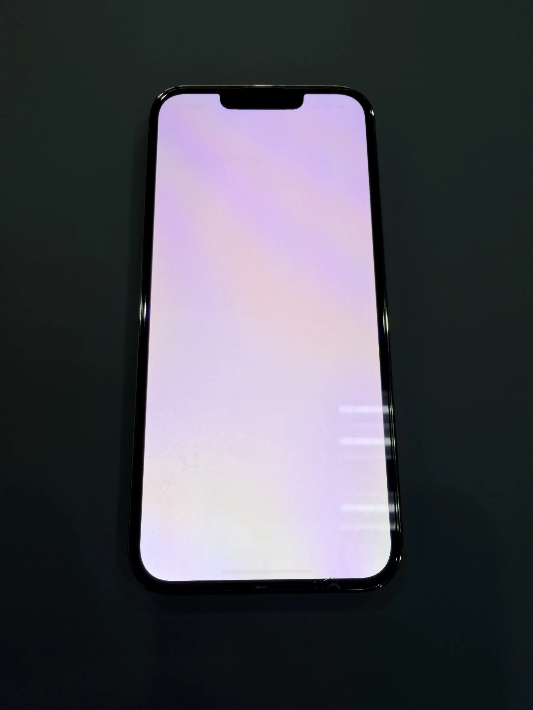 第一支 iPhone 13 Pro 修復前呈現整片白屏