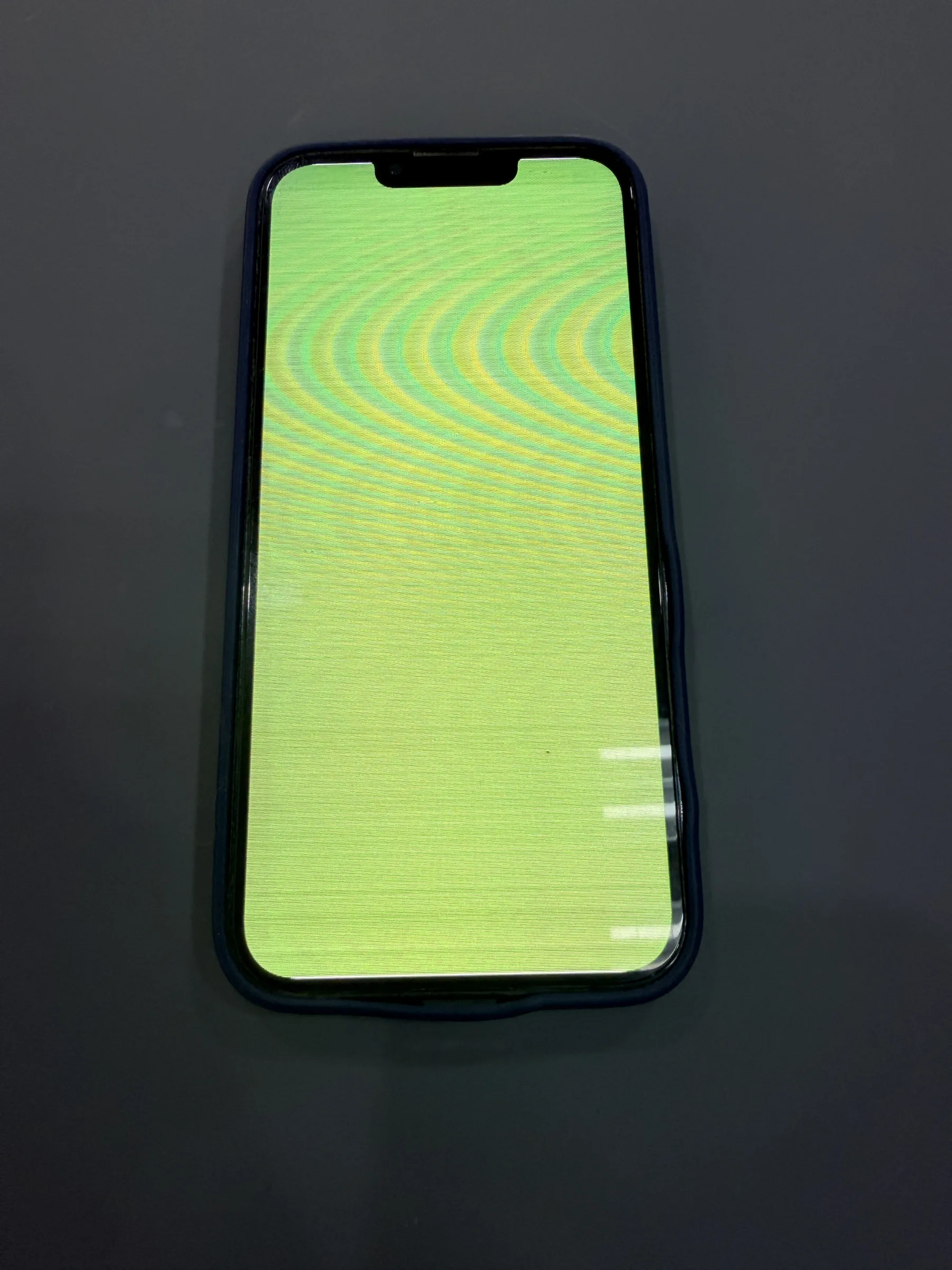 第二支 iPhone 13 Pro 修復前呈現整片綠屏